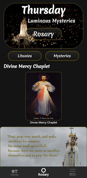 Eucharistic Universe Screenshot 1