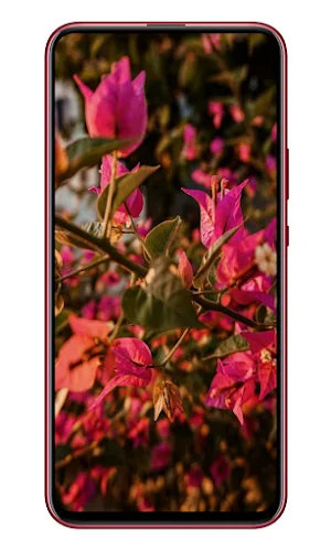 flowers wallpaper 4K Screenshot 0