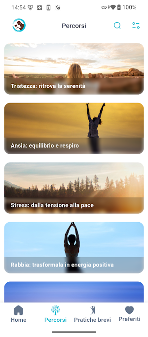 Hiromi Zen Screenshot 2