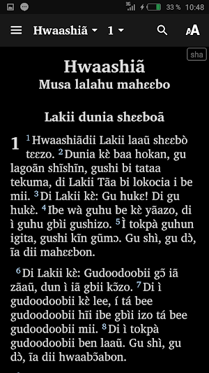 Shanga Screenshot 1