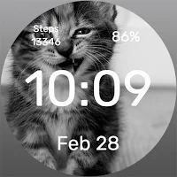 Dangerous Cat Watch Face