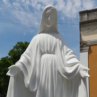 Virgin Mary's Daily Tribute