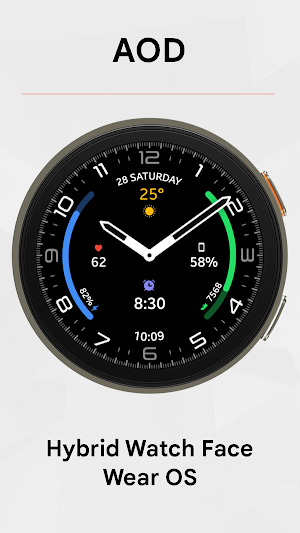 IV Hybrid Watch Face Screenshot 3
