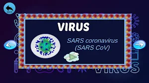 Virus & Bacteria in 3D AR Screenshot 3