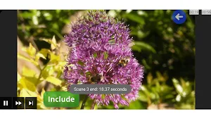 SceneMax video sequence maker Screenshot 0