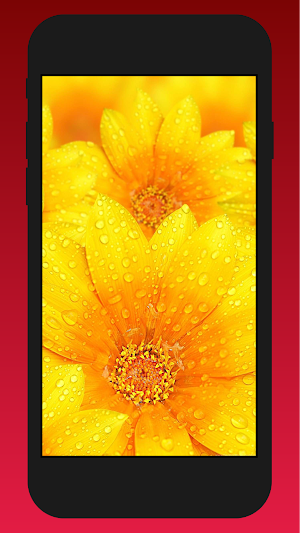 view in the yellow wallpaper Screenshot 0