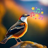 تغريد الحسون بدون انترنت