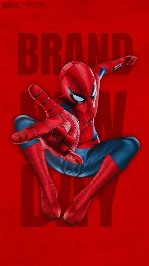 Spiderman Wallpaper HD & 4K Screenshot 2