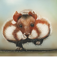 Hamster Wallpapers