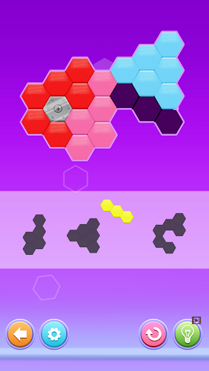 Hexa Puzzle: Block Hex Sorting Screenshot 2