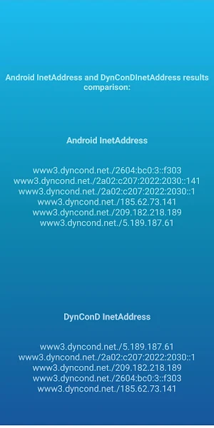 DynConD Screenshot 3