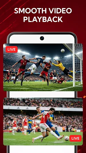 Live TV: Watch Movies & TV Screenshot 3