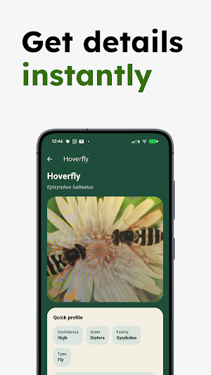 Insect Identifier - Insectr Screenshot 2