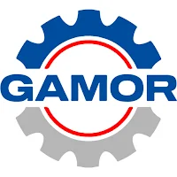 GAMOR - Académico Profesores