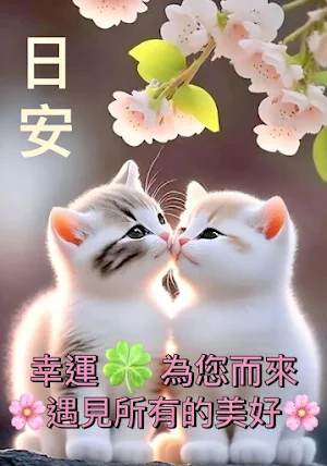 日安 Screenshot 2