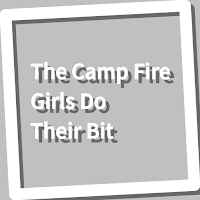 Book, The Camp Fire Girls Do T