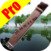 Gayageum Pro