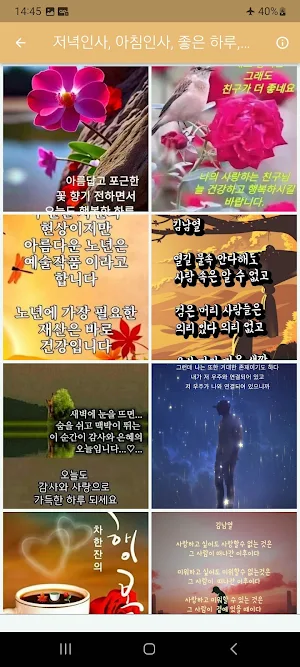 저녁인사, 아침인사, 좋은 하루, 예쁜 인사이미지! Screenshot 1