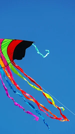 Kite Flying Wallpaper Screenshot 0
