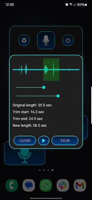 Tiny Voice Recorder Screenshot 3