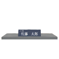 ダンシング政見放送