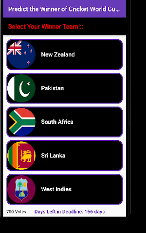 Cricket Worldcup Winner! Screenshot 1