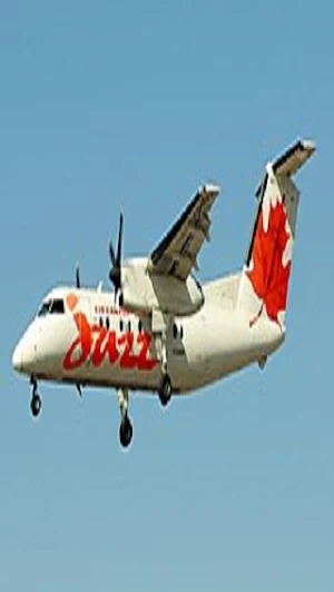 What A Plane Screenshot 2