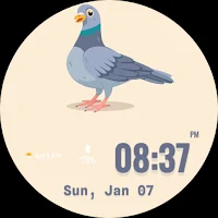 Pigeon Watch Face