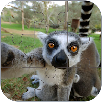 National Animals Puzzle