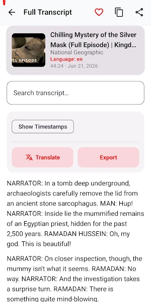 Youtube to Transcript Screenshot 1