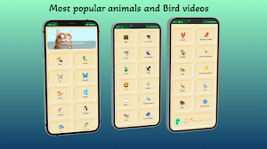 Animal And Bird Videos Screenshot 0