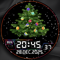 Winter Christmas tree