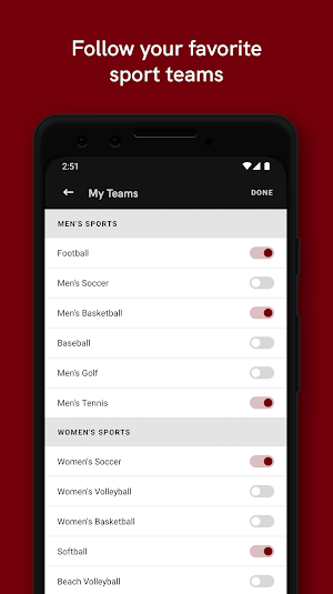 South Carolina Gamecocks Screenshot 1