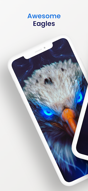 Eagle bird wallpaper HD Screenshot 0