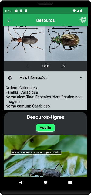 GID Inimigos Naturais Screenshot 3