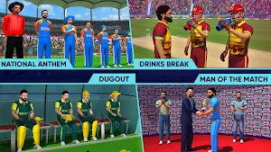 World Cricket Champions Lite Screenshot 2