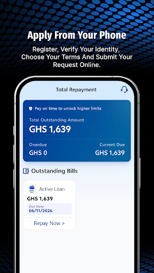Active Loan Screenshot 3