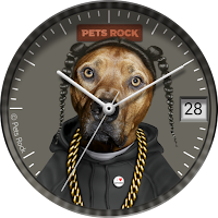 Rap | Pets Rock watch face