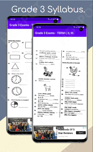 Grade 3 Exams: Term I, II, III Screenshot 0