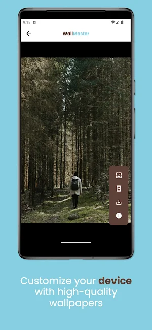 WallMaster Screenshot 1