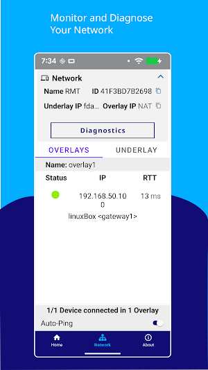 OpenBlue Airwall Screenshot 3