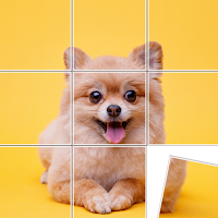 Jigsort Puzzle Game