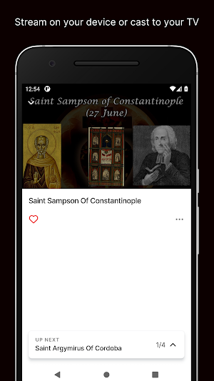Sensus Fidelium App Screenshot 2