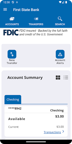 FSB Ransom Screenshot 1