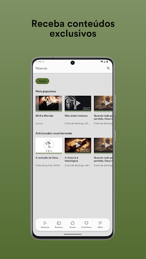 PIBNOP Screenshot 1