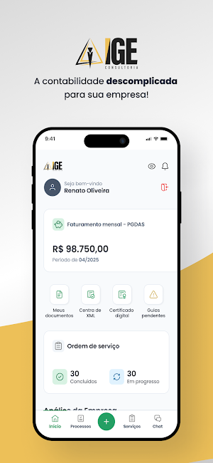 IGE Consultoria Ltda Screenshot 0