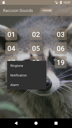 Raccoon Sounds Screenshot 1