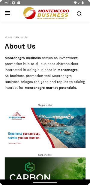 Monte Business Screenshot 1
