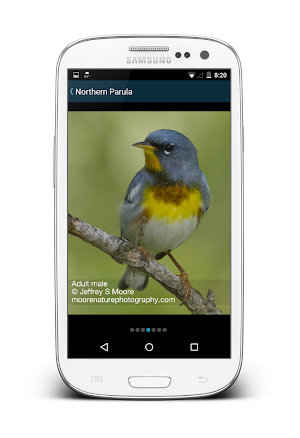 Biggest Week in Am. Birding Screenshot 3