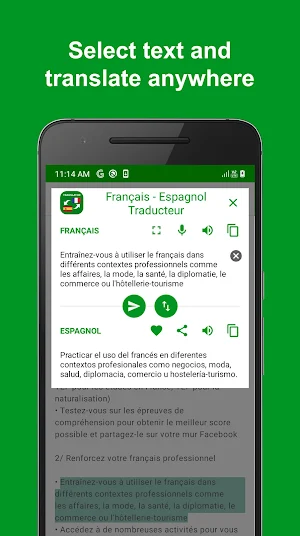 French - Spanish Translator : free & offline Screenshot 3